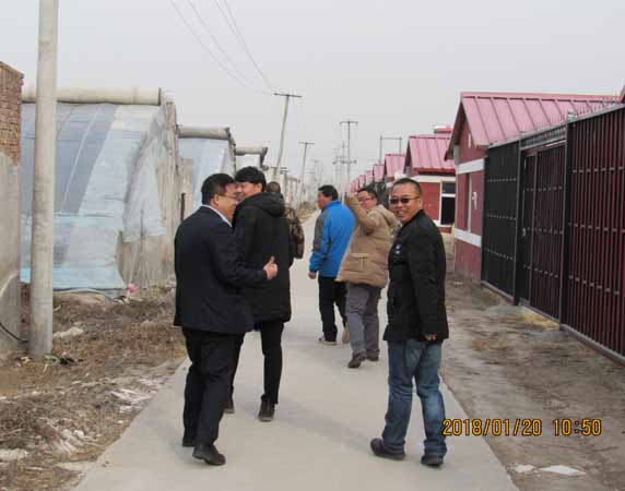 采摘1.jpg 采摘1.jpg